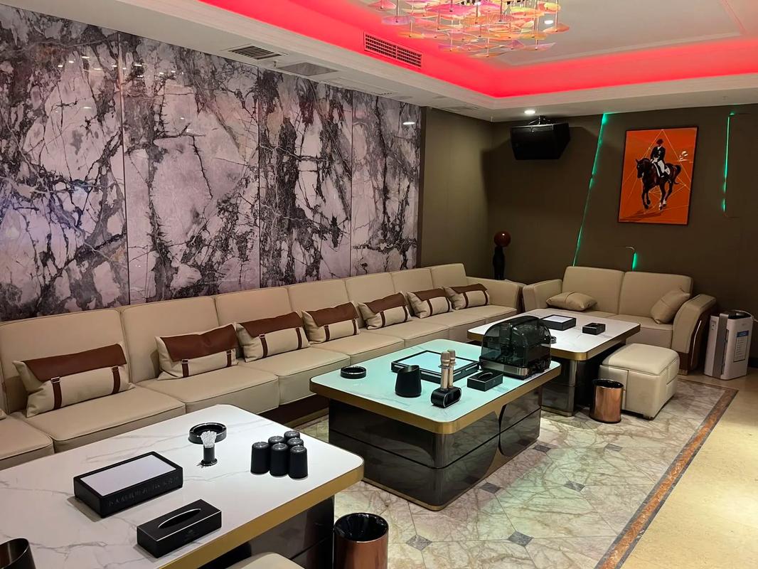 鹤岗商务ktv：尽享夜场商务乐趣-绥滨县ktv预定